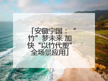 安徽宁国：“竹”梦未来 加快“以竹代塑”全场景应用