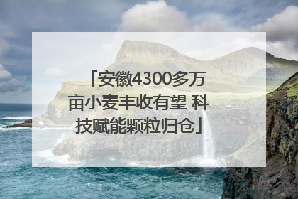 安徽4300多万亩小麦丰收有望 科技赋能颗粒归仓