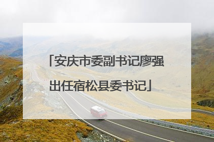 安庆市委副书记廖强出任宿松县委书记