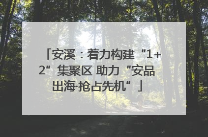 安溪：着力构建“1+2”集聚区 助力“安品出海·抢占先机”