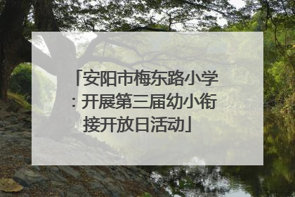 安阳市梅东路小学：开展第三届幼小衔接开放日活动