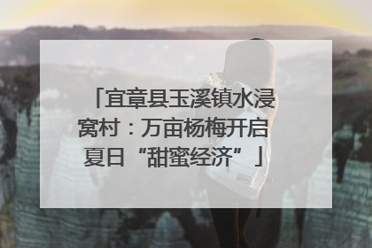 宜章县玉溪镇水浸窝村：万亩杨梅开启夏日“甜蜜经济”