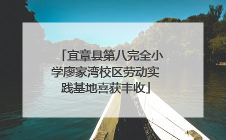 宜章县第八完全小学廖家湾校区劳动实践基地喜获丰收