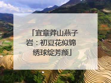 宜章莽山燕子岩：初夏花似锦 绣球绽芳颜