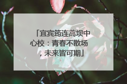 宜宾筠连蒿坝中心校：青春不散场，未来皆可期