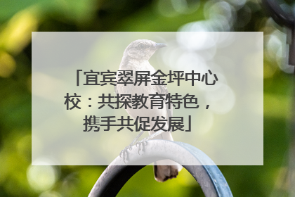 宜宾翠屏金坪中心校：共探教育特色，携手共促发展