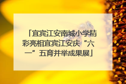 宜宾江安南城小学精彩亮相宜宾江安庆“六一”五育并举成果展