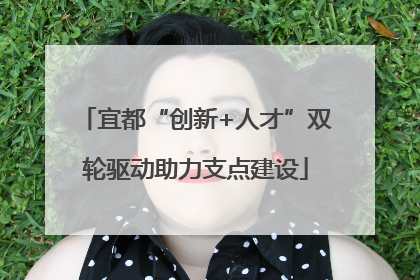 宜都“创新+人才”双轮驱动助力支点建设