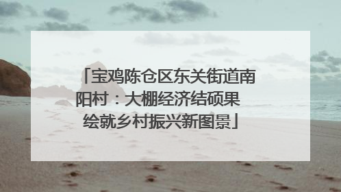宝鸡陈仓区东关街道南阳村：大棚经济结硕果 绘就乡村振兴新图景