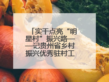 实干点亮“明星村”振兴路——记贵州省乡村振兴优秀驻村工作队员王培欢
