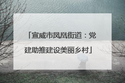 宣威市凤凰街道：党建助推建设美丽乡村
