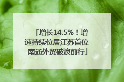 增长14.5%！增速持续位居江苏首位 南通外贸破浪前行