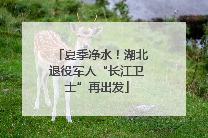 夏季净水！湖北退役军人“长江卫士”再出发