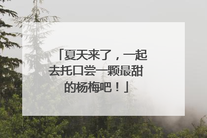 夏天来了，一起去托口尝一颗最甜的杨梅吧！