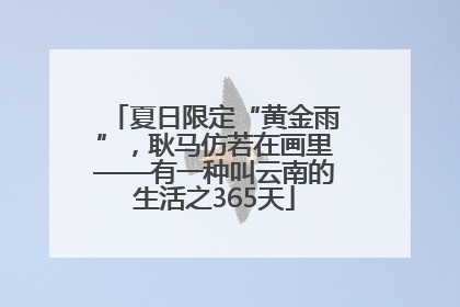 夏日限定“黄金雨”，耿马仿若在画里——有一种叫云南的生活之365天