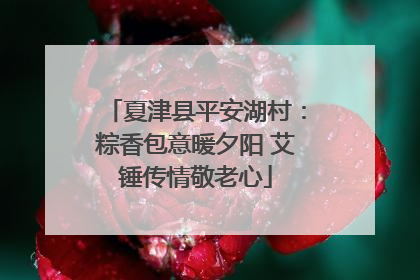 夏津县平安湖村：粽香包意暖夕阳 艾锤传情敬老心
