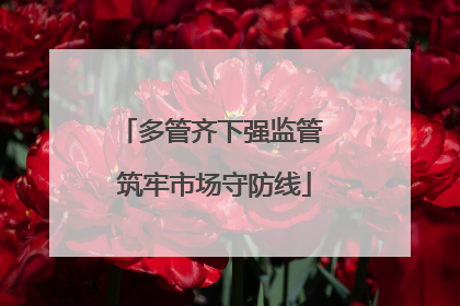 多管齐下强监管 筑牢市场守防线