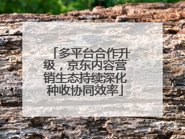 多平台合作升级，京东内容营销生态持续深化种收协同效率