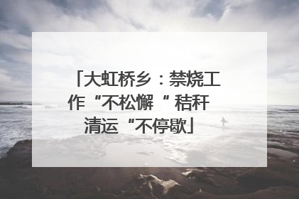 大虹桥乡：禁烧工作“不松懈“ 秸秆清运“不停歇