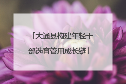 大通县构建年轻干部选育管用成长链