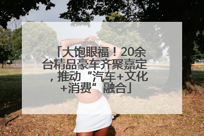 大饱眼福！20余台精品豪车齐聚嘉定，推动“汽车+文化+消费”融合
