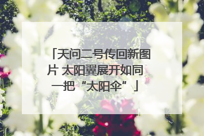 天问二号传回新图片 太阳翼展开如同一把“太阳伞”