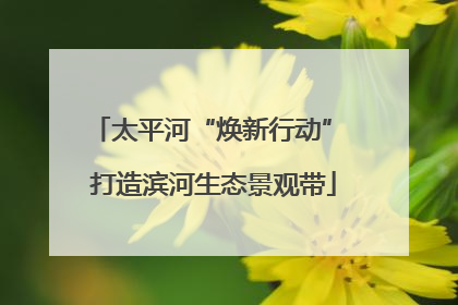 太平河“焕新行动” 打造滨河生态景观带