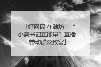 好网民·在潍坊｜“小高书记正能量”直播 带动群众致富