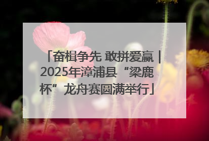 奋楫争先 敢拼爱赢｜2025年漳浦县“梁鹿杯”龙舟赛圆满举行