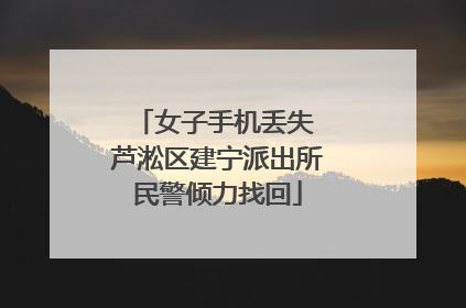 女子手机丢失 芦淞区建宁派出所民警倾力找回