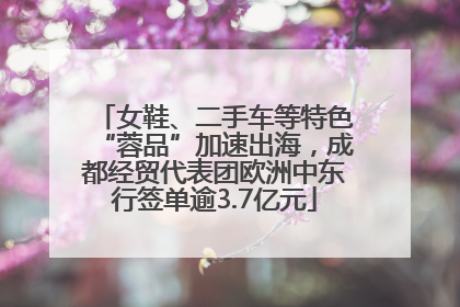 女鞋、二手车等特色“蓉品”加速出海，成都经贸代表团欧洲中东行签单逾3.7亿元
