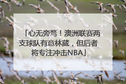 心无旁骛！澳洲联赛两支球队有意林葳，但后者将专注冲击NBA