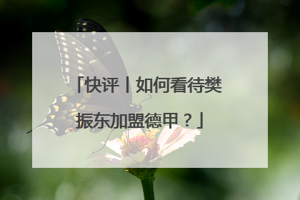快评丨如何看待樊振东加盟德甲？