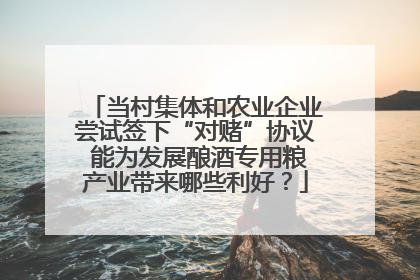 当村集体和农业企业尝试签下“对赌”协议 能为发展酿酒专用粮产业带来哪些利好？