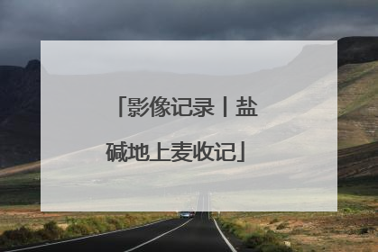 影像记录丨盐碱地上麦收记