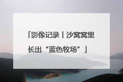影像记录丨沙窝窝里长出“蓝色牧场”
