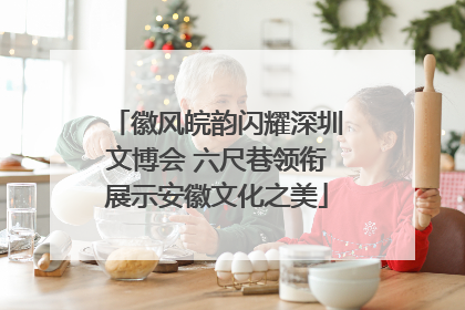 徽风皖韵闪耀深圳文博会 六尺巷领衔展示安徽文化之美