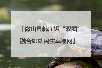 微山县韩庄镇“双圈”融合织就民生幸福网