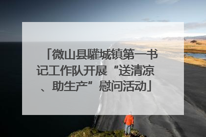 微山县驩城镇第一书记工作队开展“送清凉、助生产”慰问活动