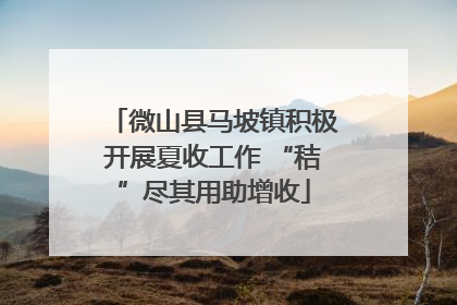 微山县马坡镇积极开展夏收工作 “秸”尽其用助增收