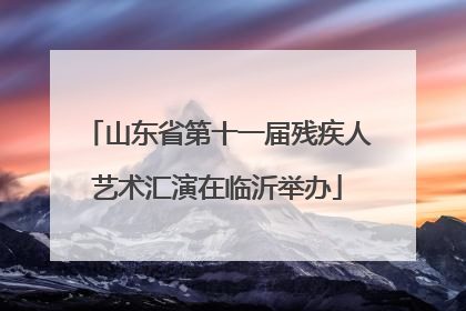 山东省第十一届残疾人艺术汇演在临沂举办