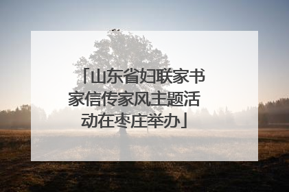山东省妇联家书家信传家风主题活动在枣庄举办