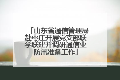 山东省通信管理局赴枣庄开展党支部联学联建并调研通信业防汛准备工作