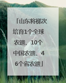 山东将梯次培育1个全球农遗、10个中国农遗、46个省农遗