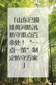 山东已摸排黄河防汛防守重点百余处！“一点一策”制定防守方案