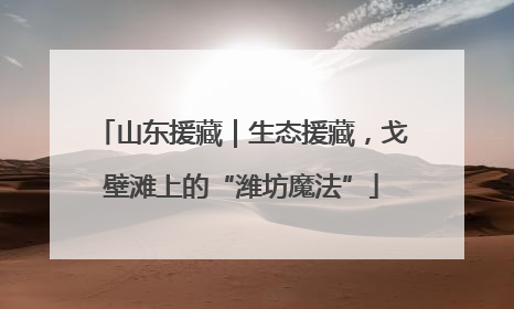 山东援藏｜生态援藏，戈壁滩上的“潍坊魔法”