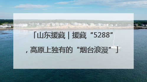山东援藏｜援藏“5288”，高原上独有的“烟台浪漫”
