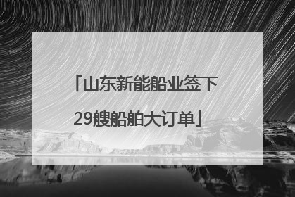 山东新能船业签下29艘船舶大订单