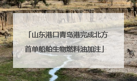 山东港口青岛港完成北方首单船舶生物燃料油加注