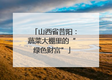 山西省昔阳：蔬菜大棚里的“绿色财富”